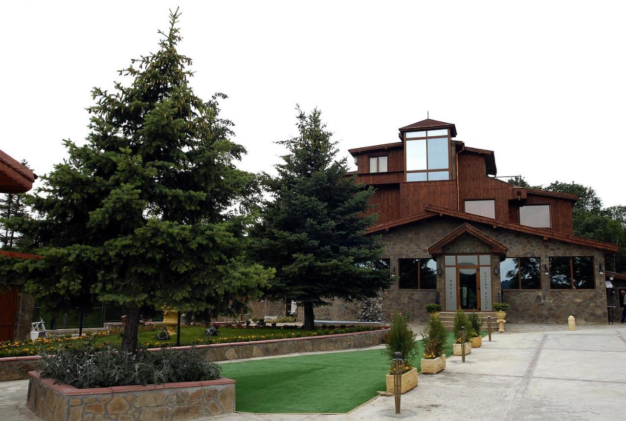Хотел Галина Палас Srem Exterior foto