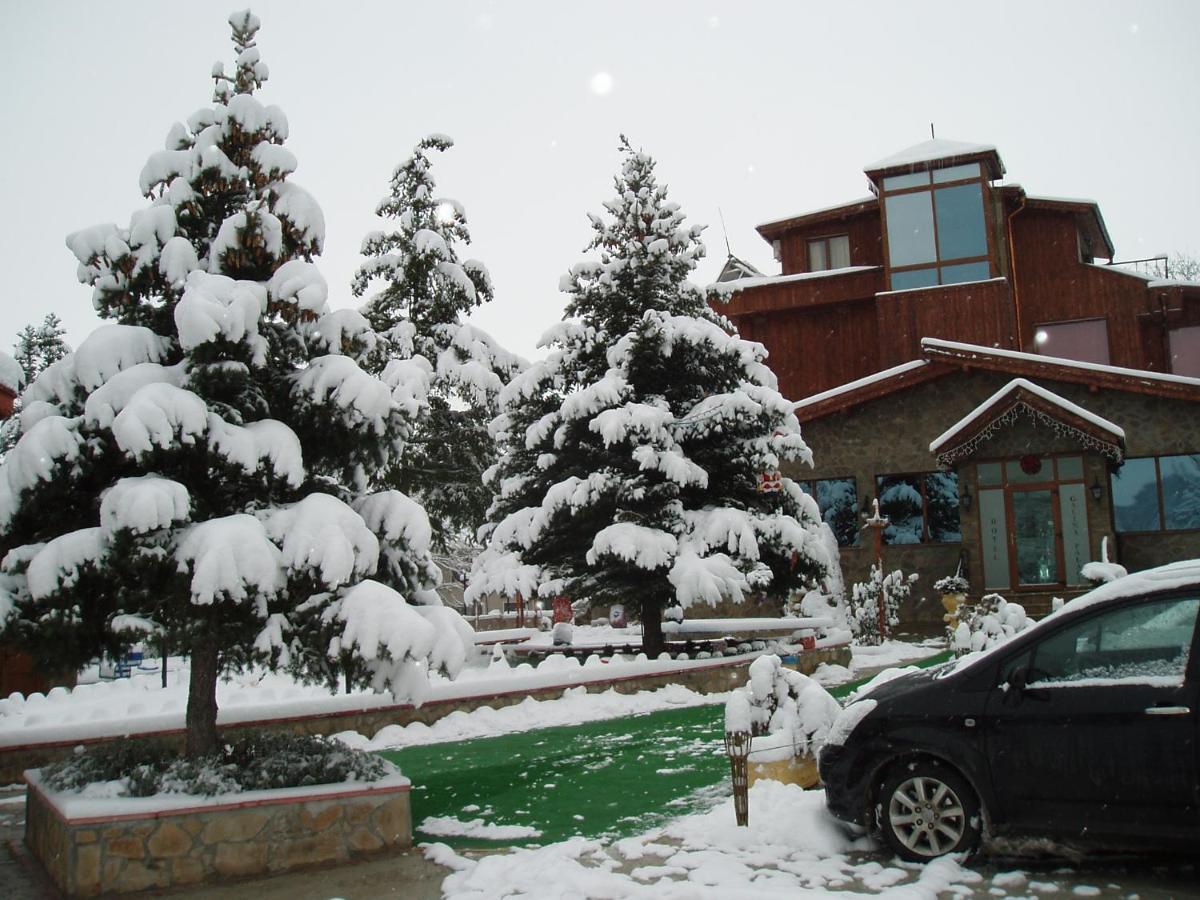 Хотел Галина Палас Srem Exterior foto